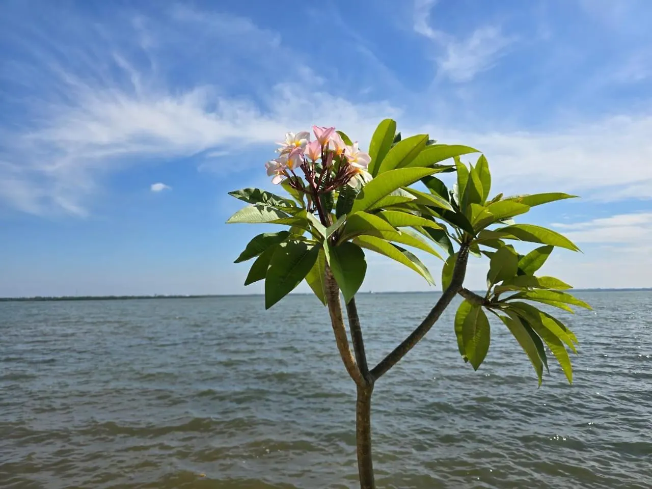 Lagoon Bay Resort Negombo Sri Lanka